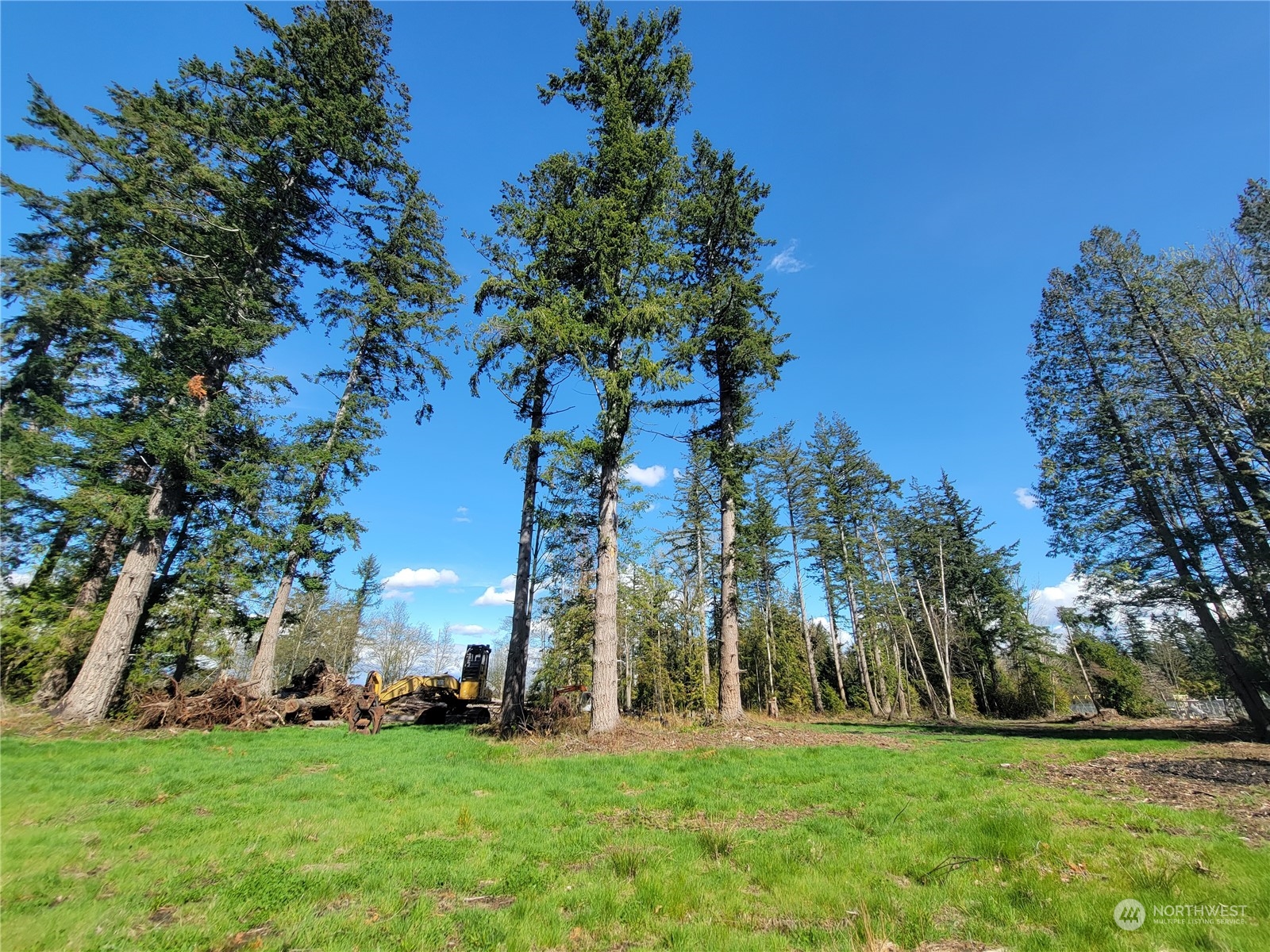 7700 Custer School Road Custer, WA 98240 - Photo 29 of 31 a garden with trees in front of it