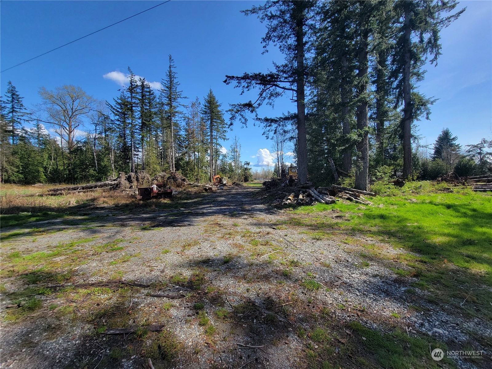 7700 Custer School Road Custer, WA 98240 - Photo 5 of 31 a view of a yard with plants and trees