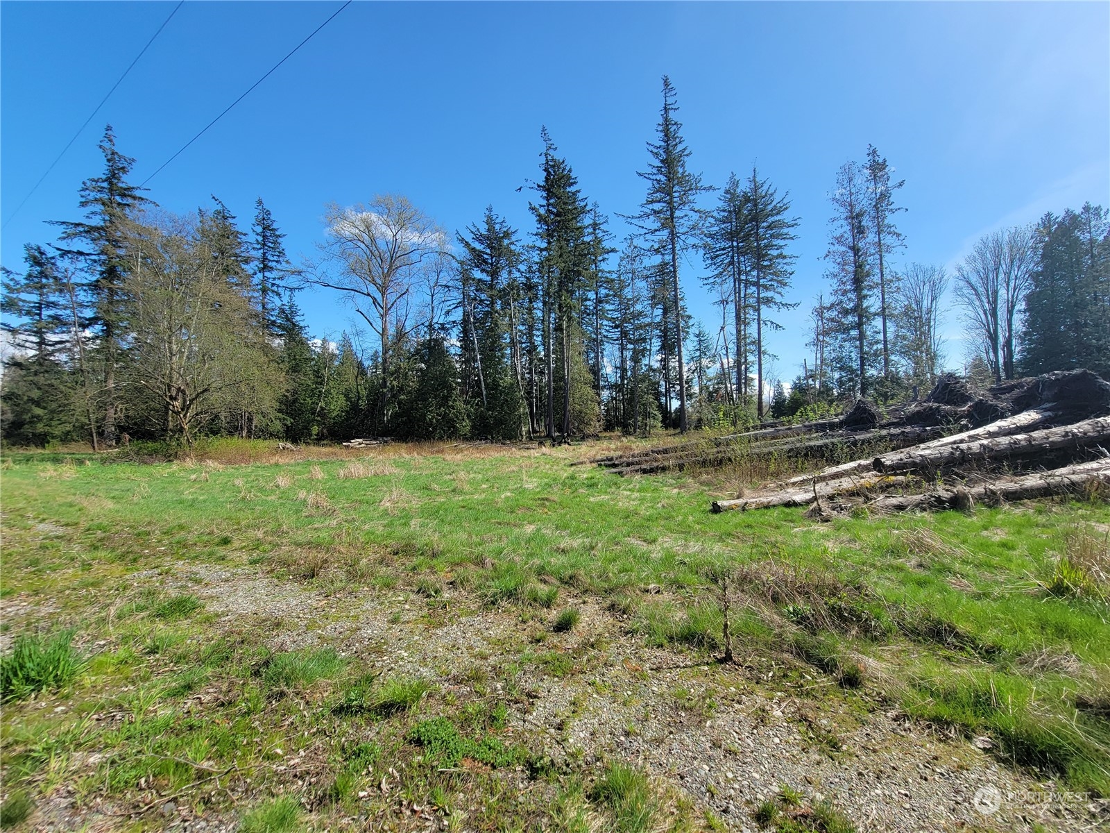7700 Custer School Road Custer, WA 98240 - Photo 6 of 31 a view of a park with large trees