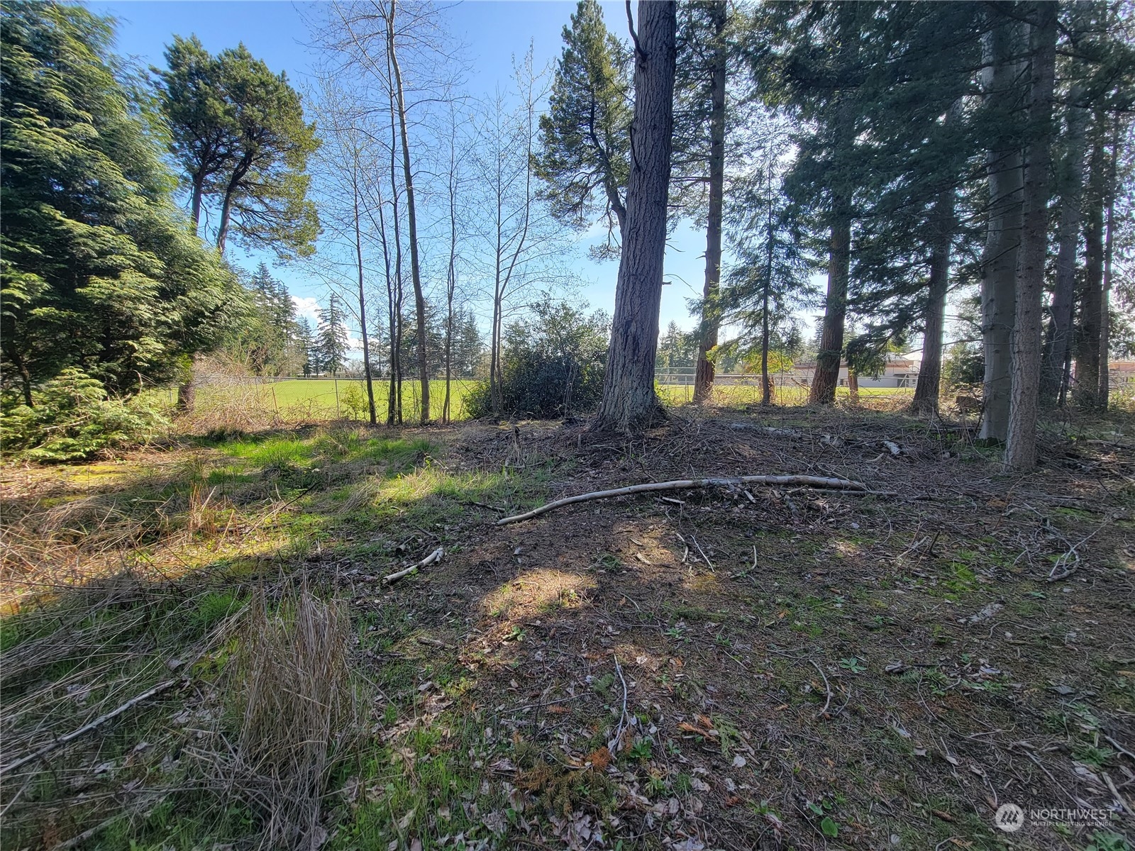 7700 Custer School Road Custer, WA 98240 - Photo 10 of 31 a backyard of a house with lots of green space