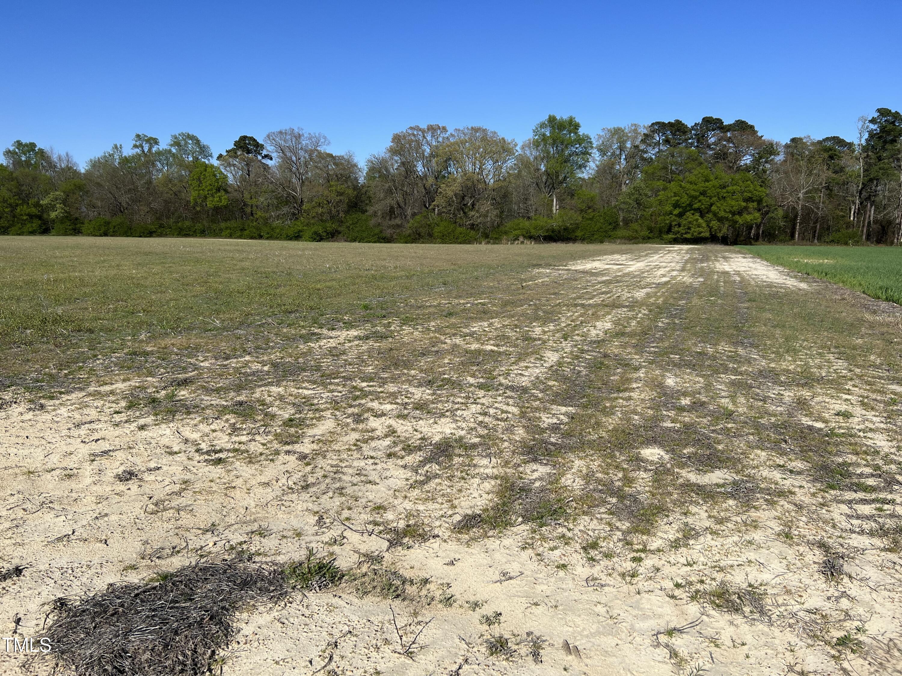 Partically Cleared Area