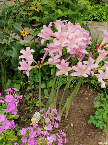 $865,000 | 215 Surrey Lane, East Peoria, IL 61611