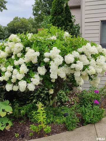 $865,000 | 215 Surrey Lane, East Peoria, IL 61611