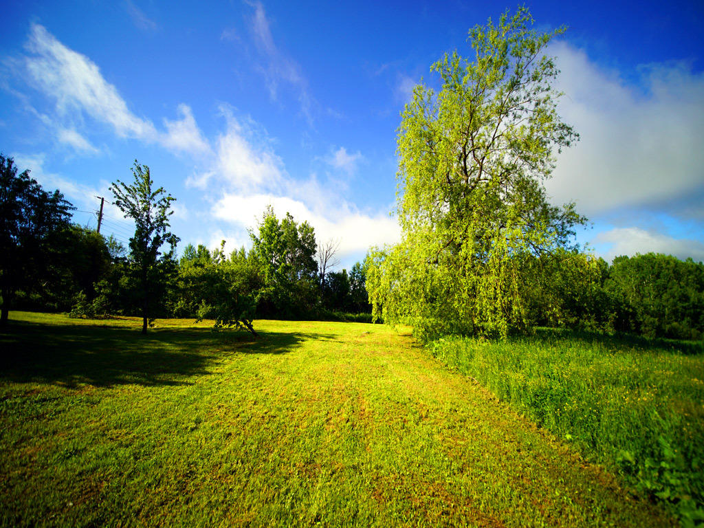 299 Thompson Settlement Road Oakfield, ME 04763 - Photo 16 of 20 299-thompson-settlement-rd