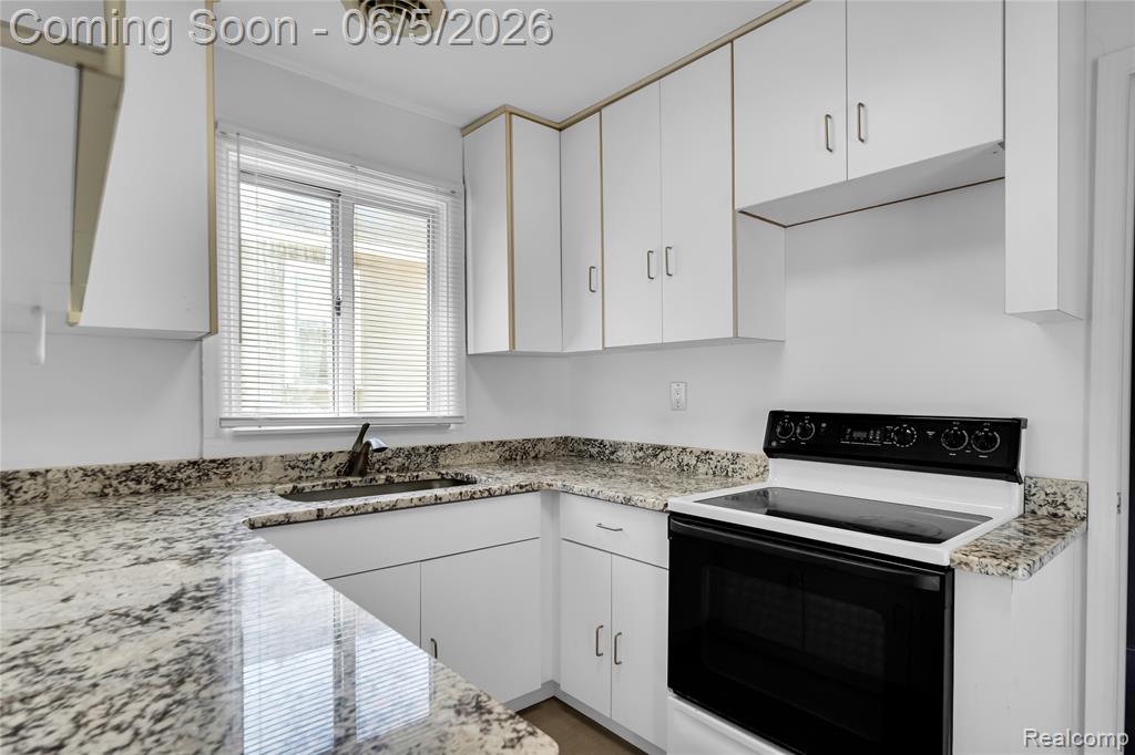 3280 Inman Street Ferndale, MI 48220 - Photo 6 of 24