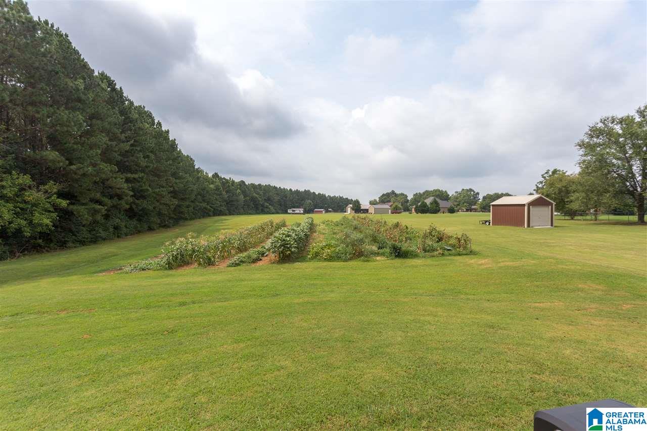 265 Union Point Street Altoona, AL 35952 - Photo 29 of 29