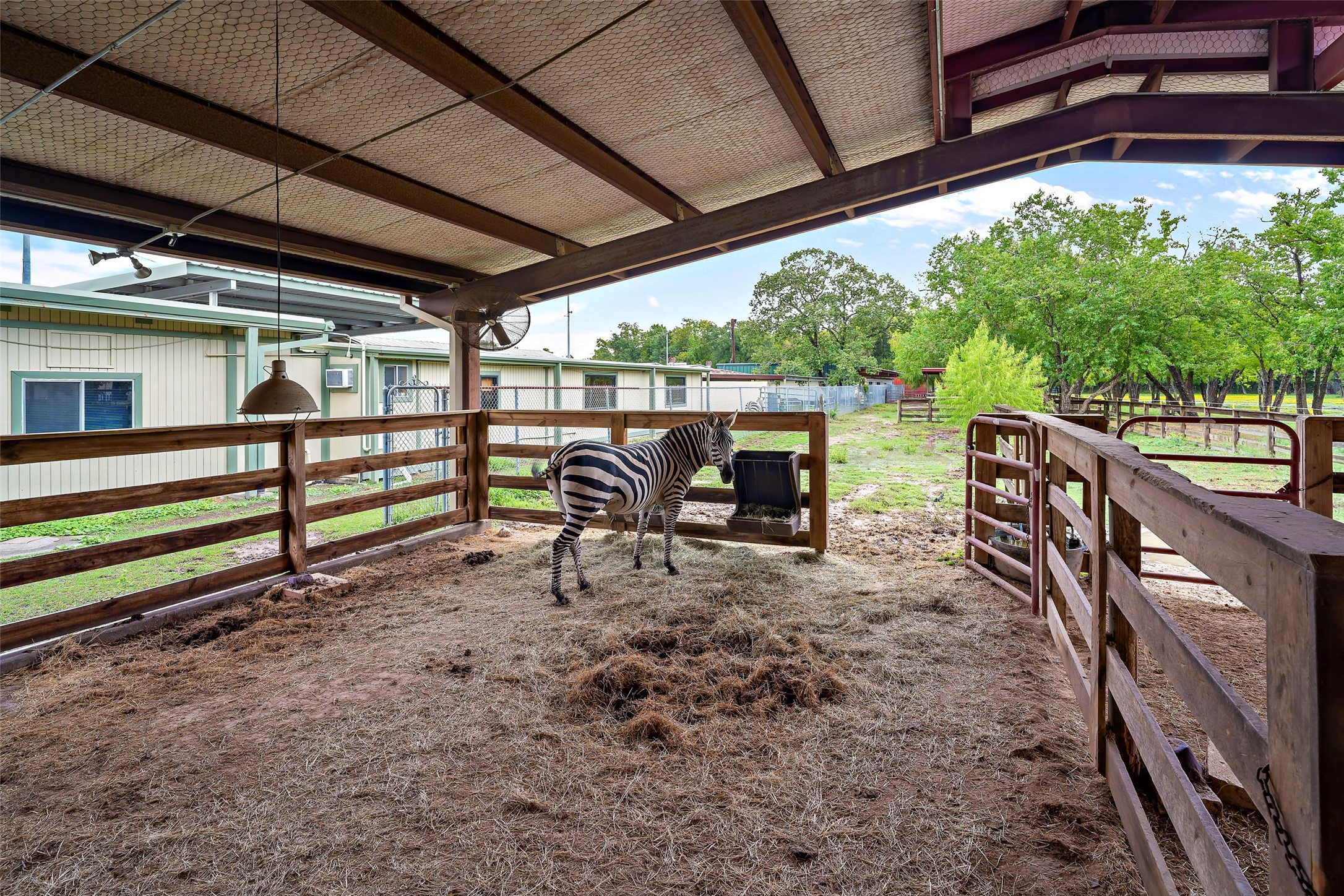 7438 Wright Road Houston, TX 77041 - Photo 30 of 50 The horse stable.