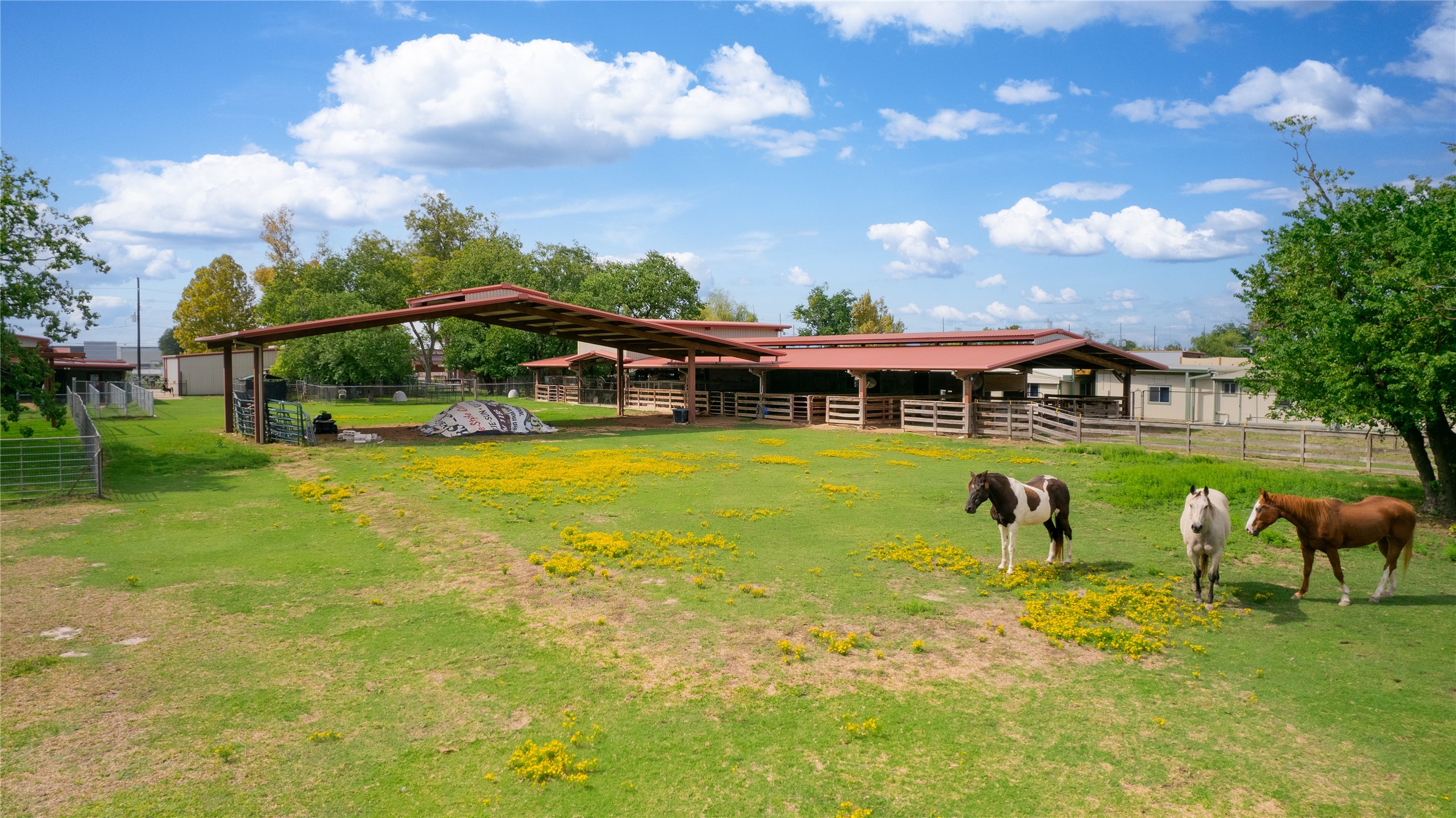 7438 Wright Road Houston, TX 77041 - Photo 35 of 50 Looking from the back of the property towards the horse stable.