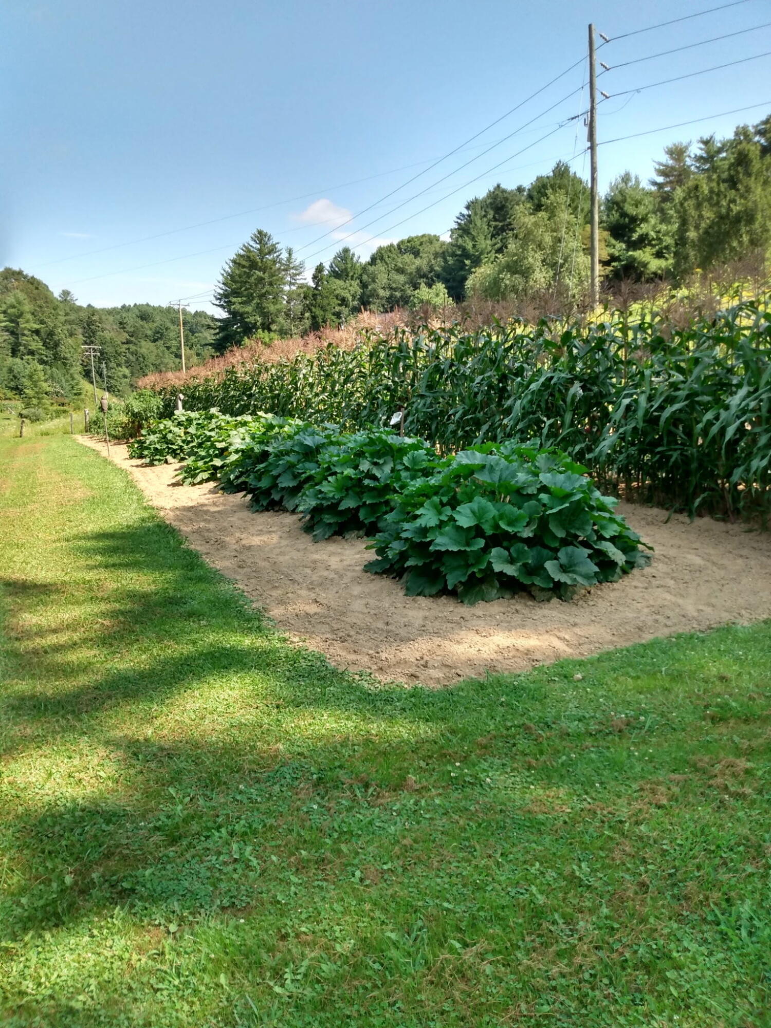 4668 Webbs Mill Road North Riner, VA 24149 - Photo 30 of 50 Landis 2