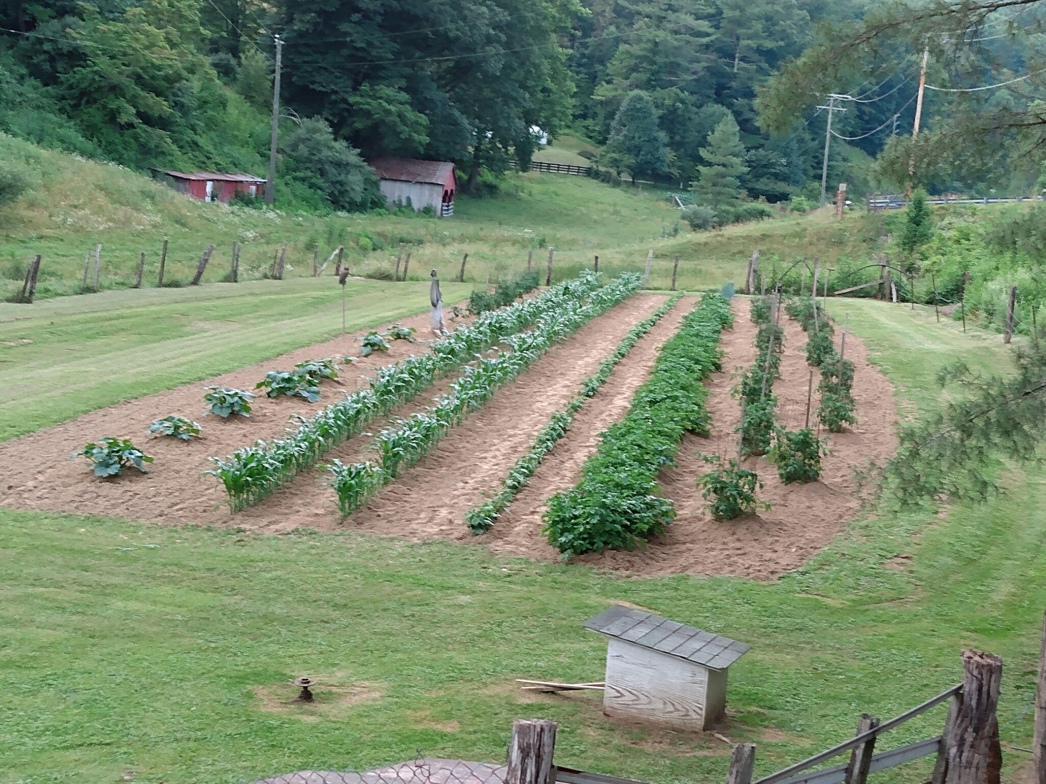 4668 Webbs Mill Road North Riner, VA 24149 - Photo 3 of 50 Landis 3