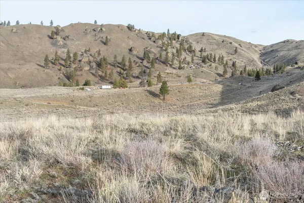 a view of a yard