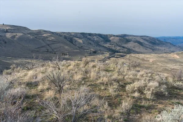 a view of a dry yard with mountains in the background