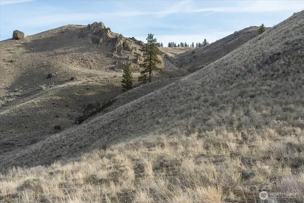 a view of a dry field