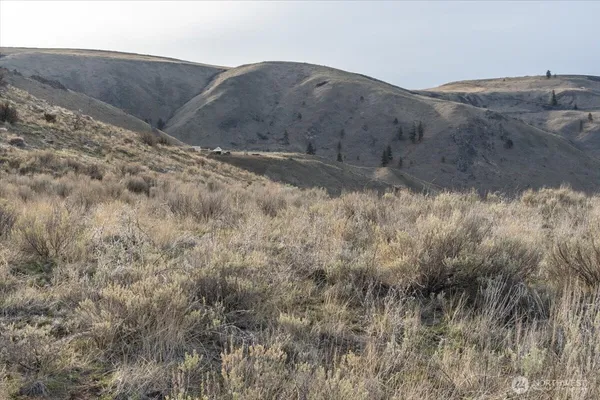 $79,000 | 0 Parcel B - 13 Honeygold Drive, Orondo, WA 98843