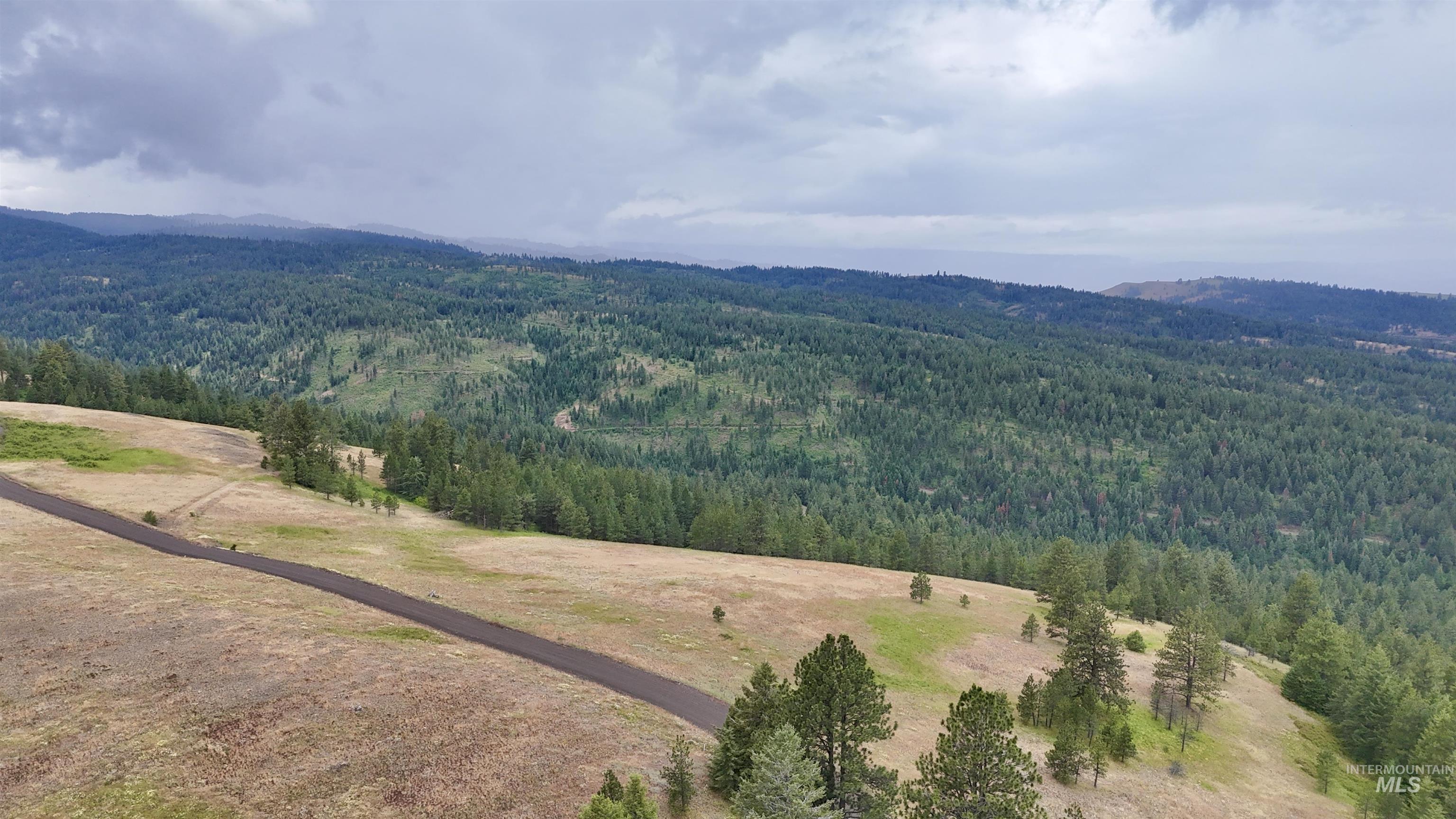 Lot 91 Pilgrim Ridge Road White Bird, ID 83554 - Photo 16 of 35