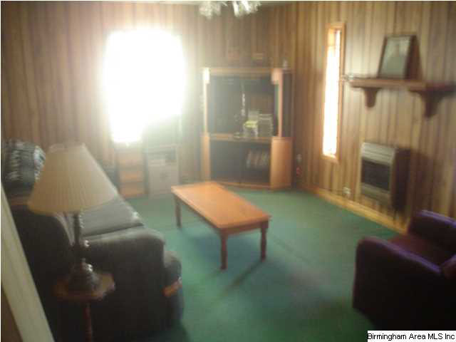 4625 Highway 24 Springville Al Springville, AL 35146 - Photo 14 of 29