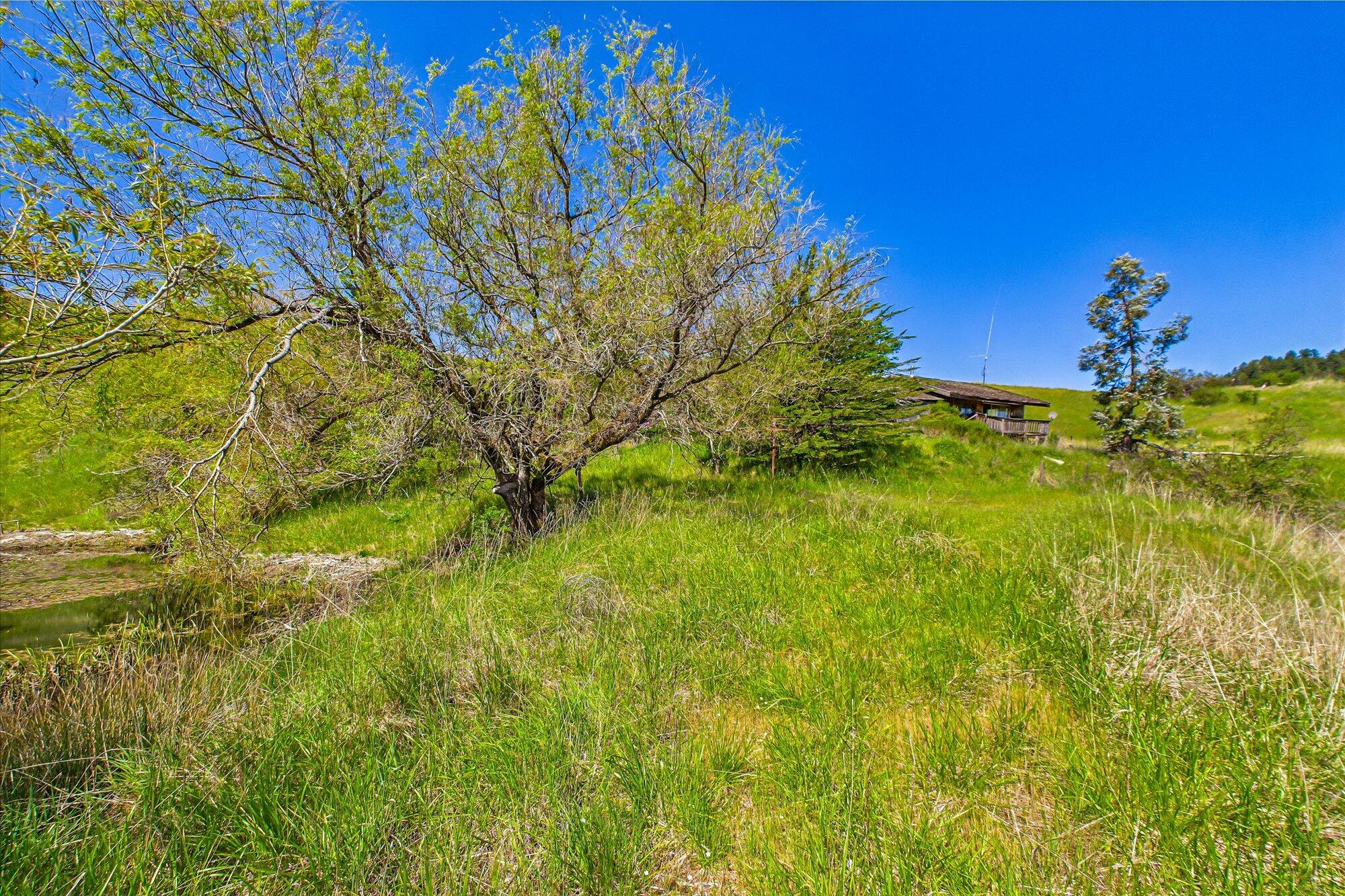 3602 Thomas Road Miranda, CA 95553 - Photo 14 of 66