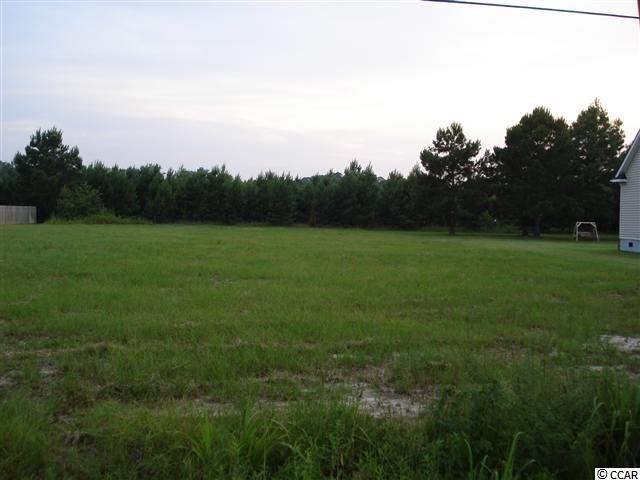 Lot 4 Bear Bluff Road Conway, SC 29526 - Photo 2 of 3 Gallery Image 2