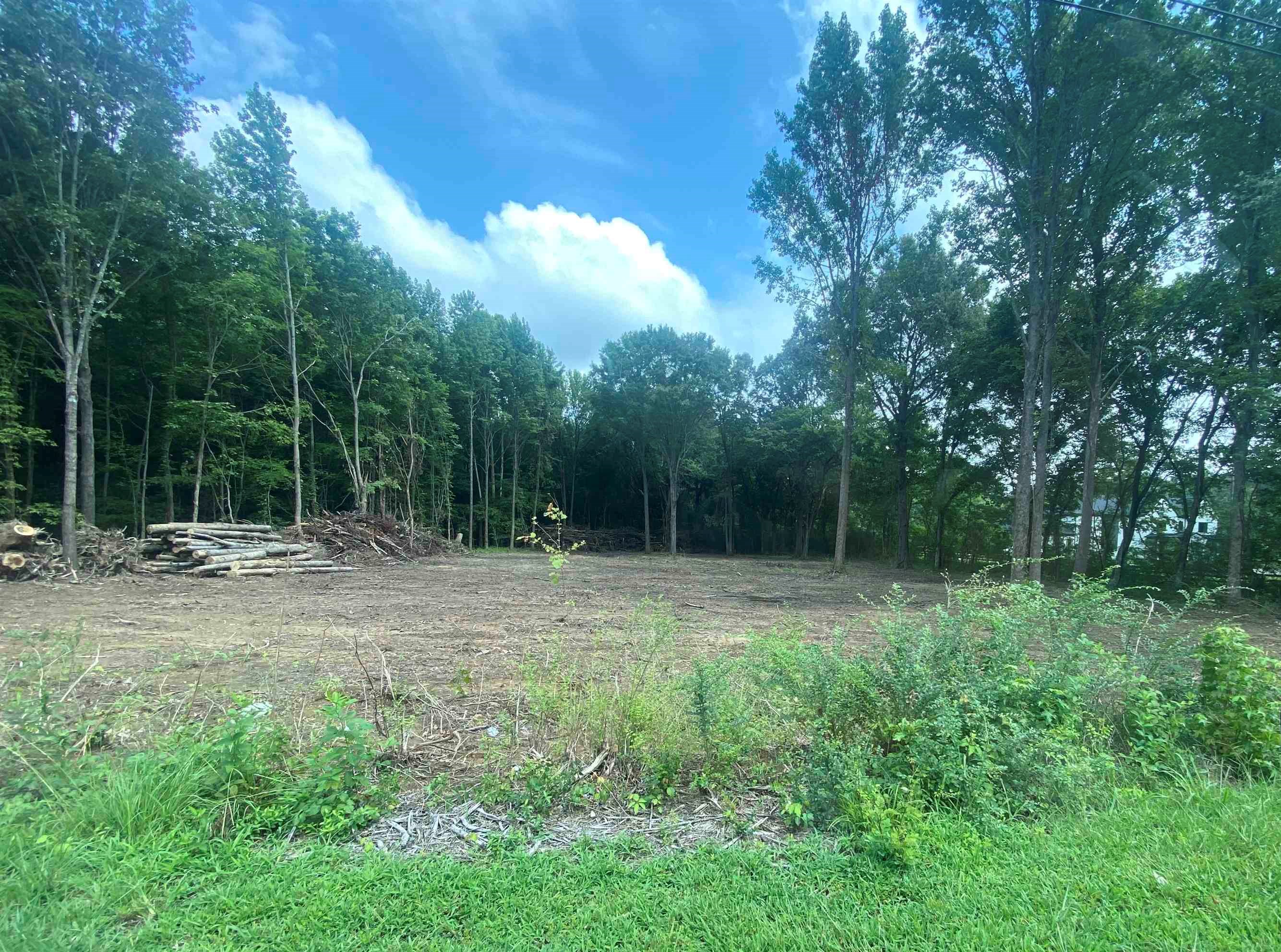 8640 Old Creek Road Memphis, TN 38125 - Photo 2 of 3