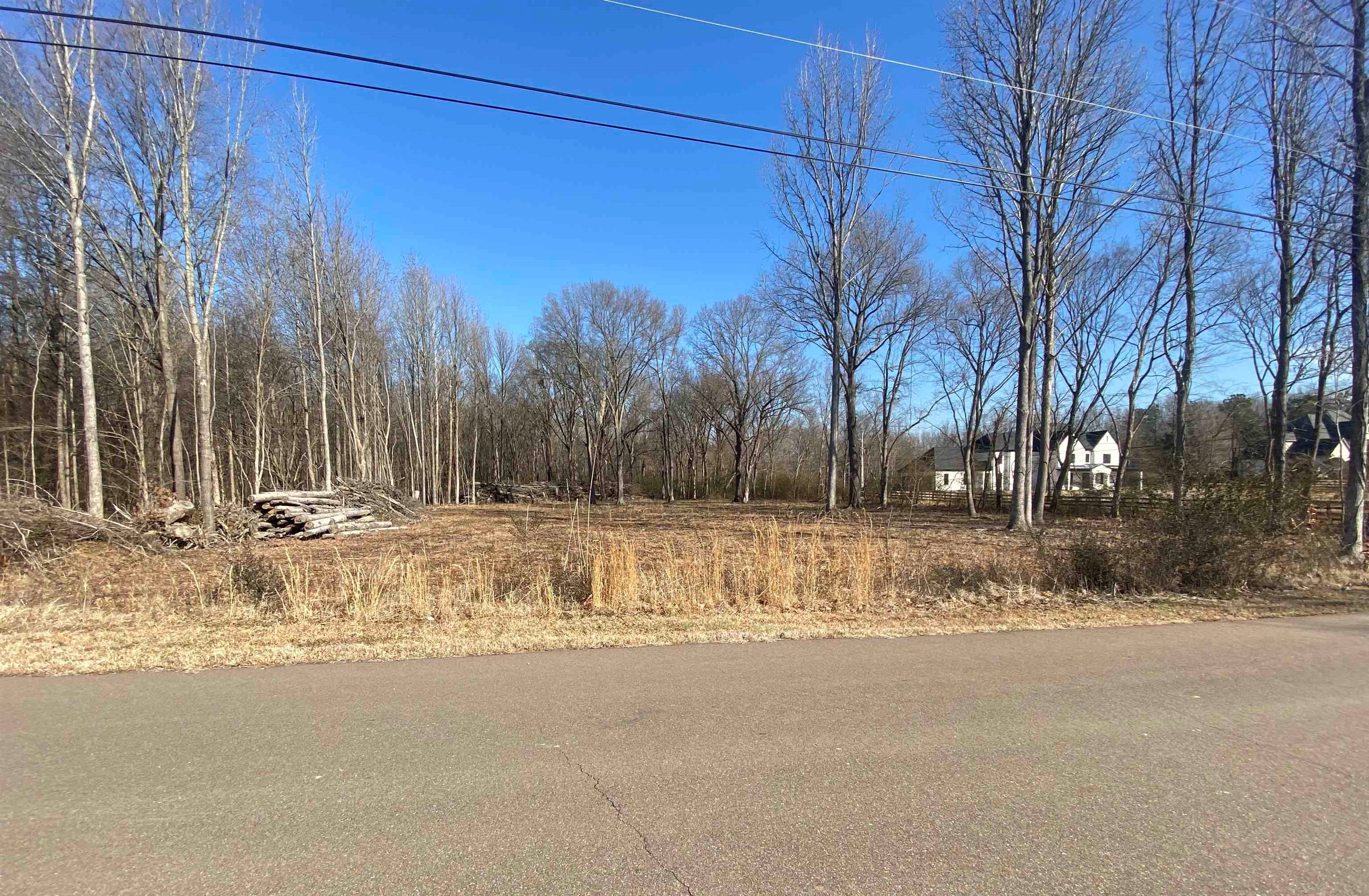 8640 Old Creek Road Memphis, TN 38125 - Photo 3 of 3 View of road