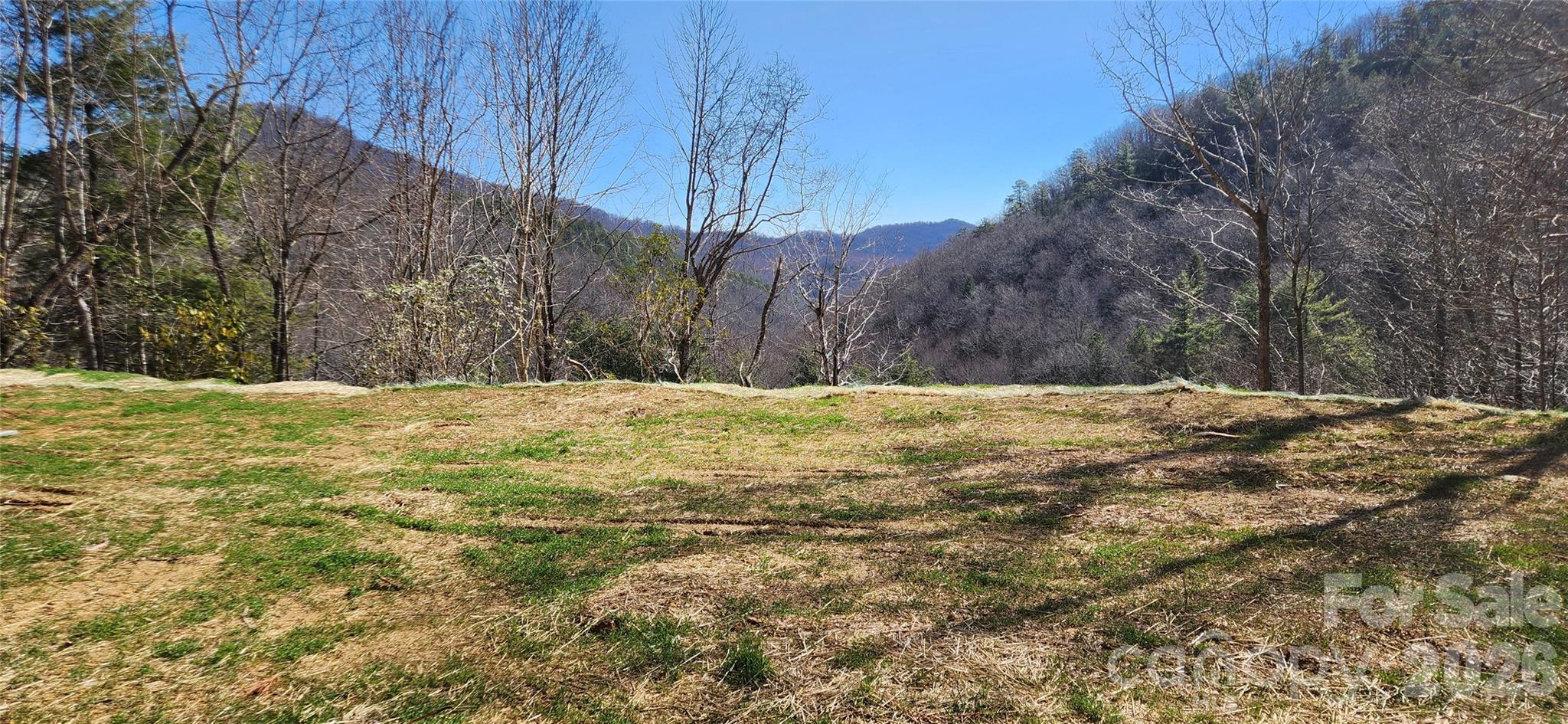 23 Craig Circle Fairview, NC 28730 - Photo 1 of 8 a view of large yard with trees