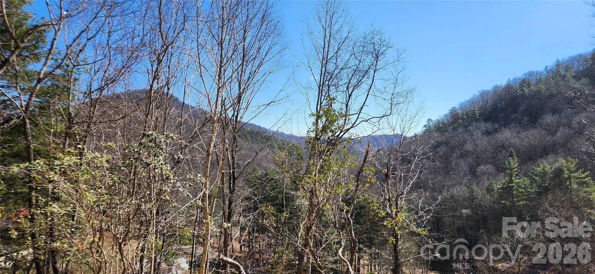 23 Craig Circle Fairview, NC 28730 - Photo 2 of 8 a backyard of a house with lots of green space