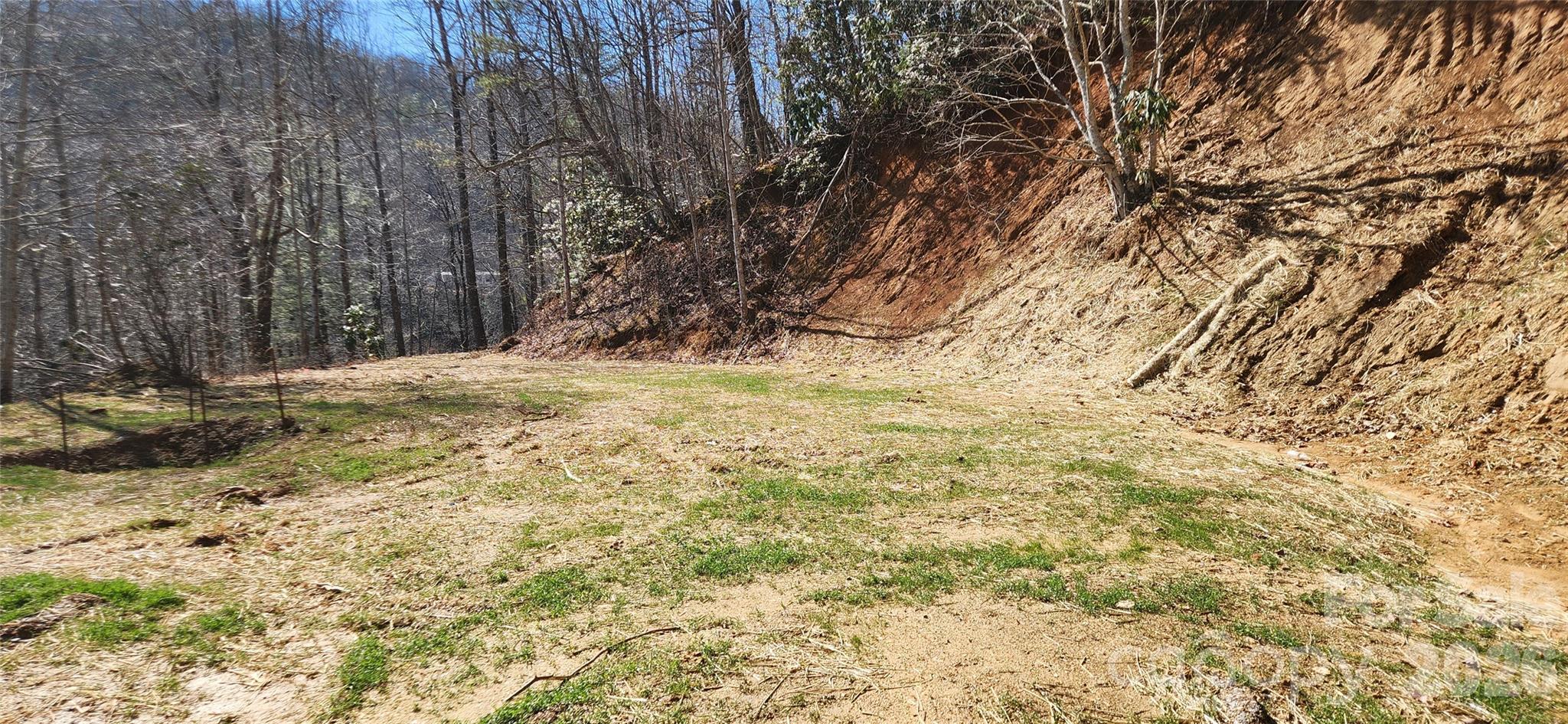 23 Craig Circle Fairview, NC 28730 - Photo 3 of 8 a view of a yard with large trees