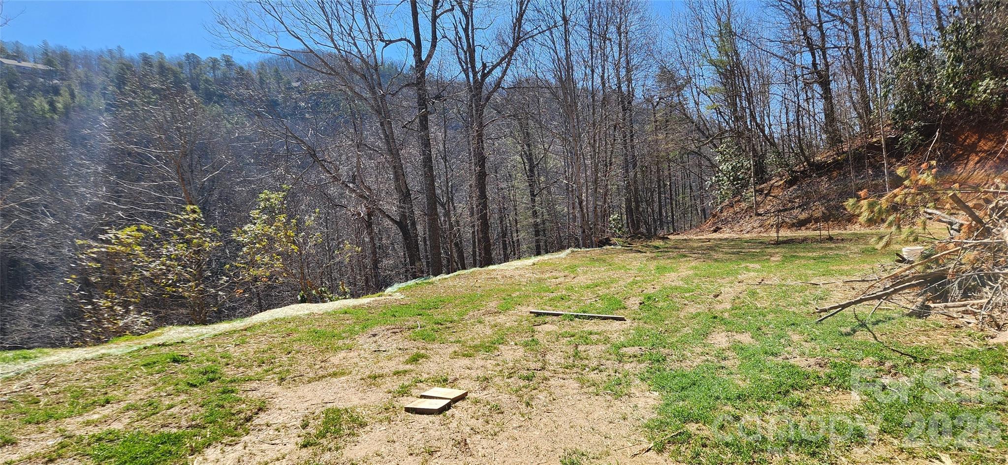 23 Craig Circle Fairview, NC 28730 - Photo 4 of 8 a view of swimming pool