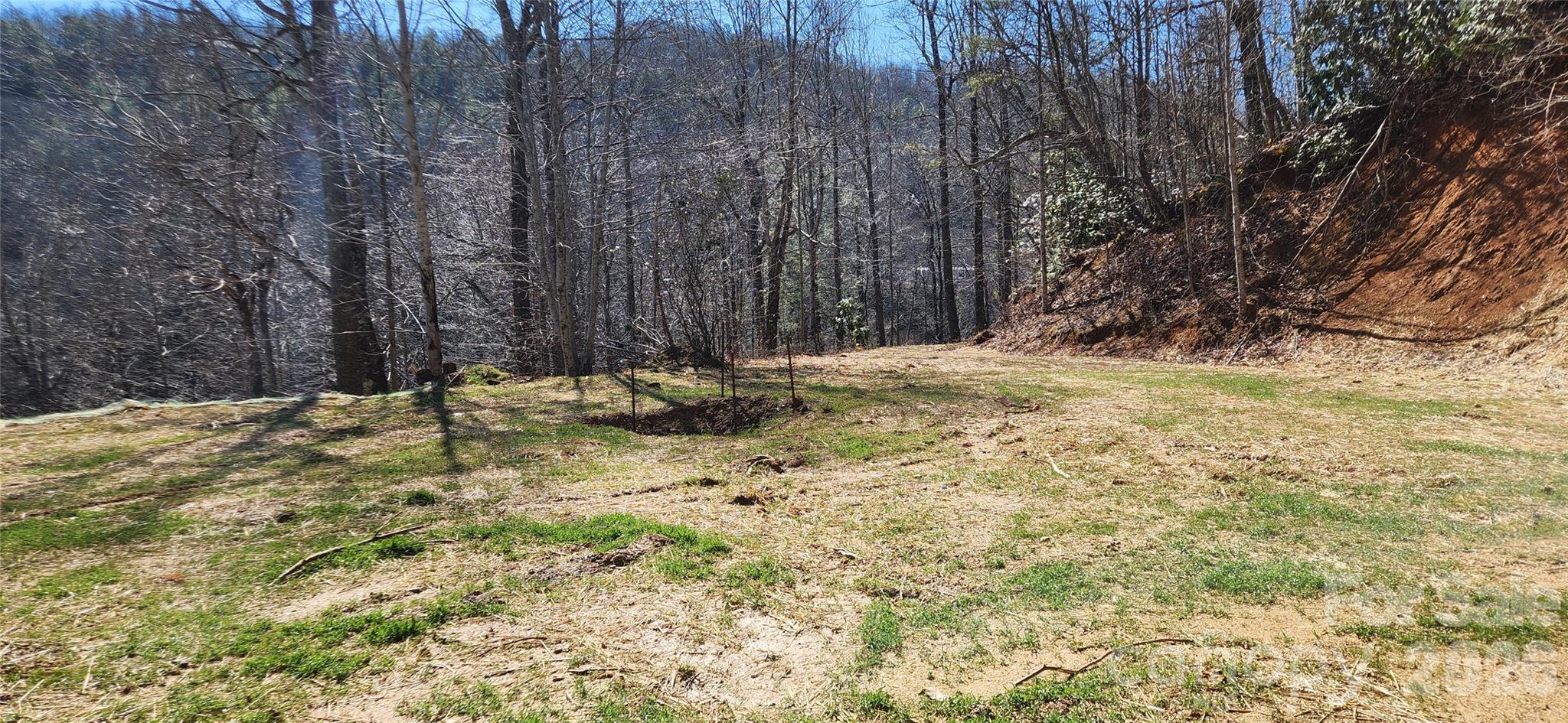 23 Craig Circle Fairview, NC 28730 - Photo 5 of 8 a view of a backyard of the house