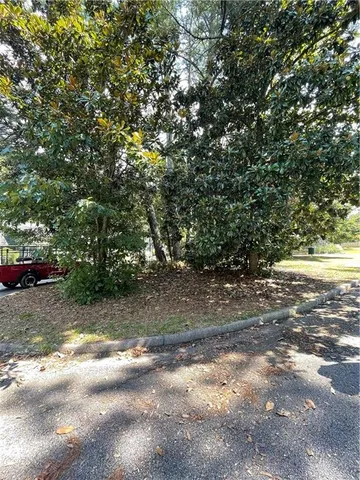 a view of a yard with a tree