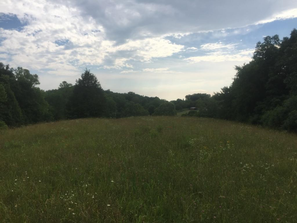0 Rader Sidetrack Road Mosheim, TN 37818 - Photo 1 of 15 Photo 1