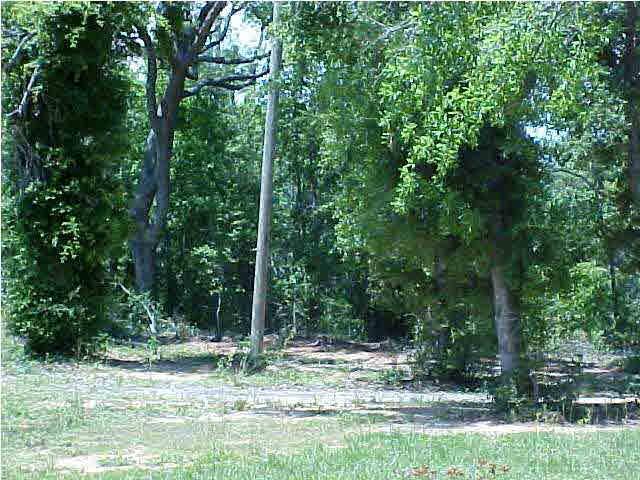3908 Reinhardt Village Road Milton, FL 32583 - Photo 5 of 5 Gallery Image 5