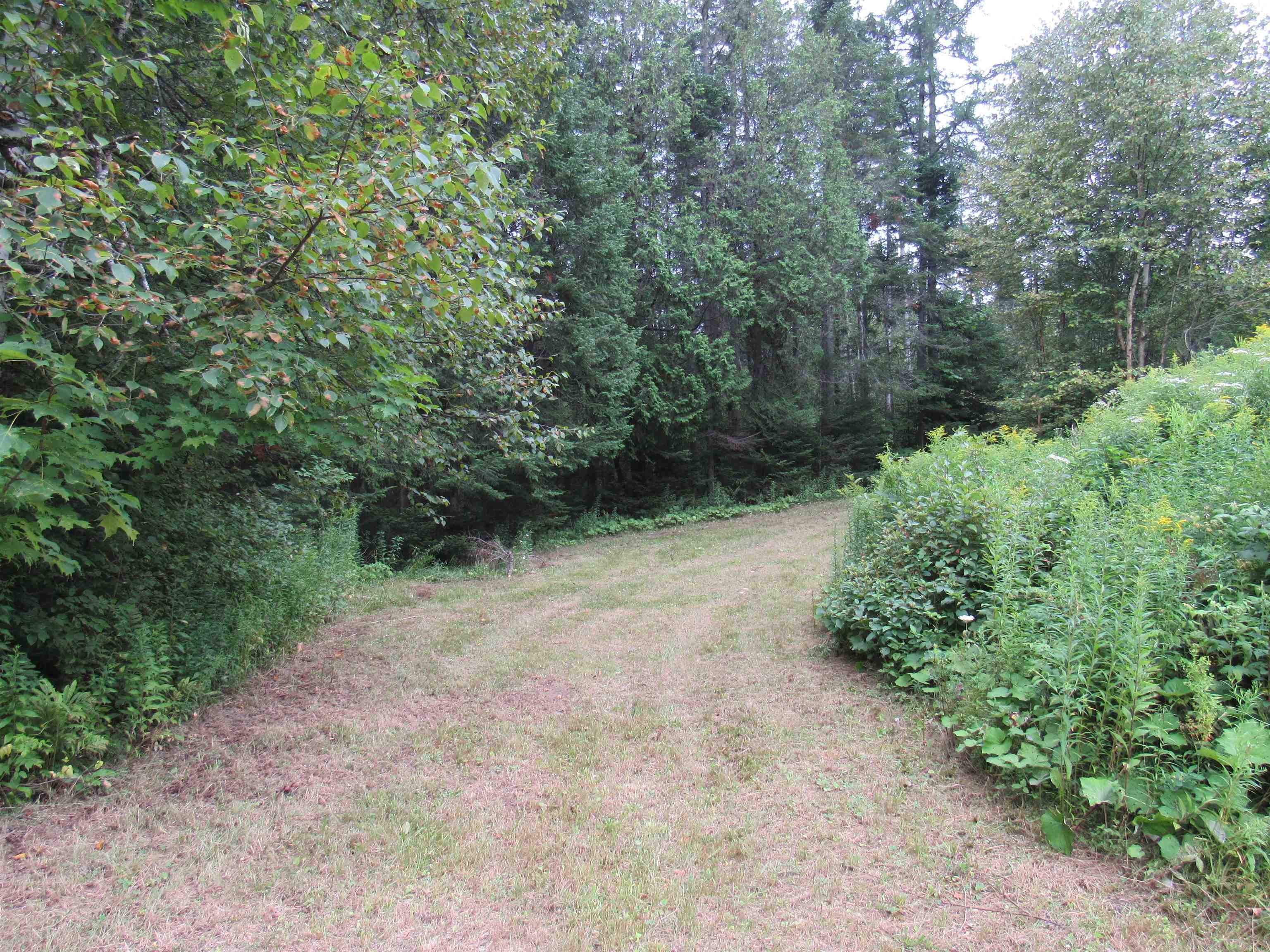 621 Newark Pond Road Newark, VT 05871 - Photo 6 of 20 Gallery Image 6