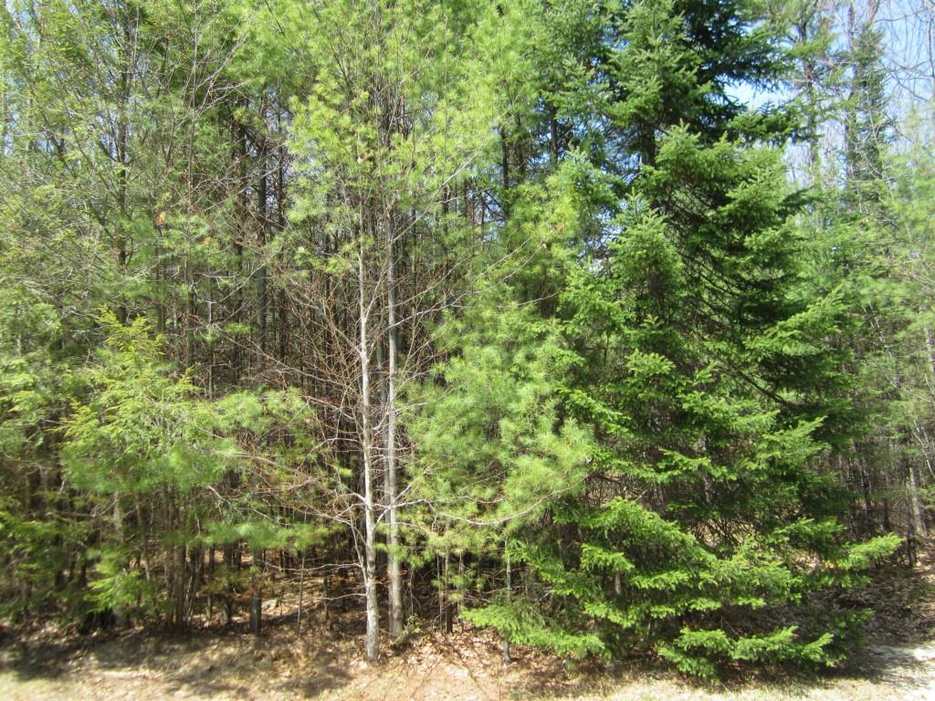 806 Lovell Road Harrison, ME 04040 - Photo 14 of 35 Photo