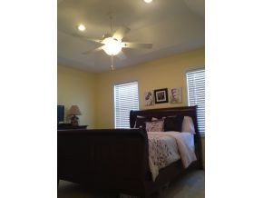 55 Walnut Grove Road Greeneville, TN 37743 - Photo 13 of 19 master bedroom wtrey ceiling