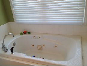 55 Walnut Grove Road Greeneville, TN 37743 - Photo 15 of 19 master bedroom wjet tub