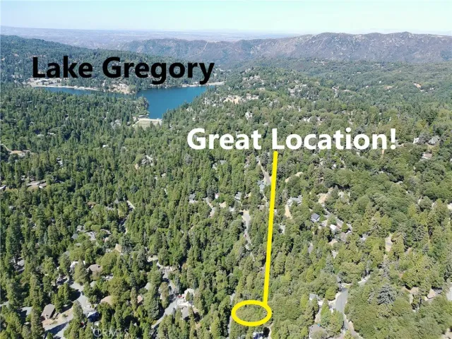 a view of a lush green forest