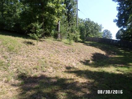 107 Southridge Road Hohenwald, TN 38462 - Photo 8 of 30 Gallery Image 8