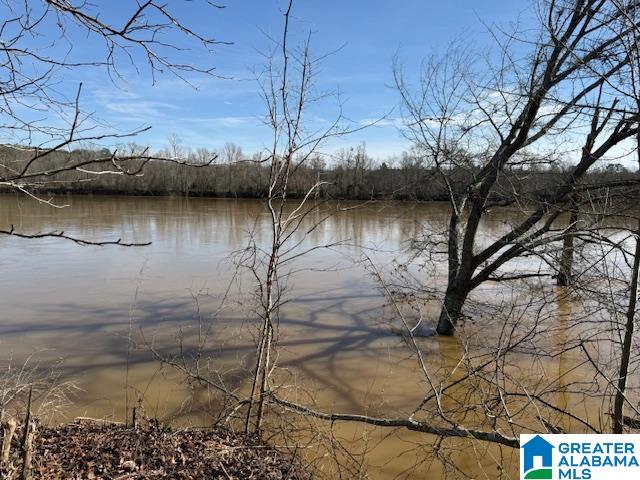 2247 Lock 3 Road Ragland, AL 35131 - Photo 3 of 4