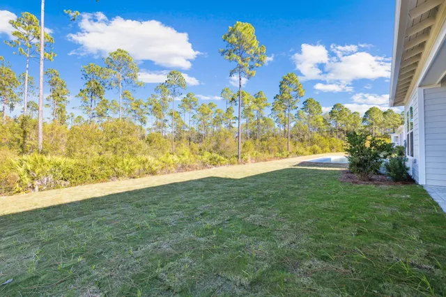 $1,195,000 | 93 Orman Court, Watersound, FL 32461