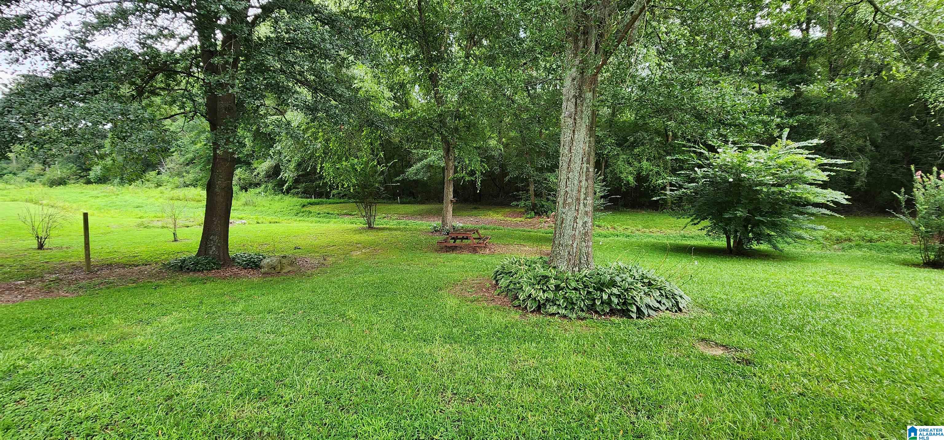 368 Dodd Road Altoona, AL 35952 - Photo 42 of 54