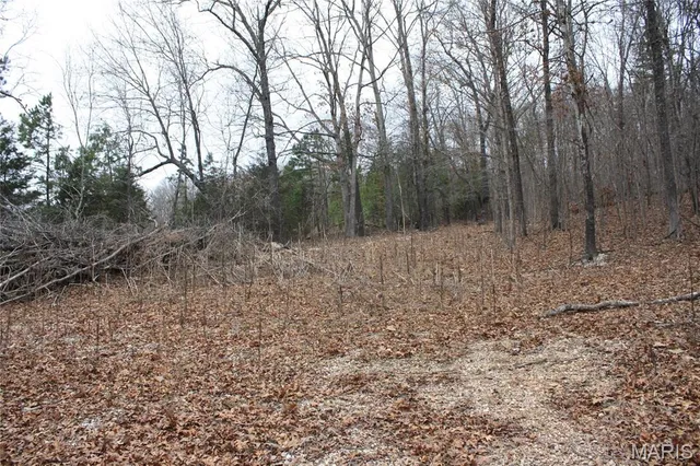 $44,000 | 0 Carter 154, Fremont, MO 63941