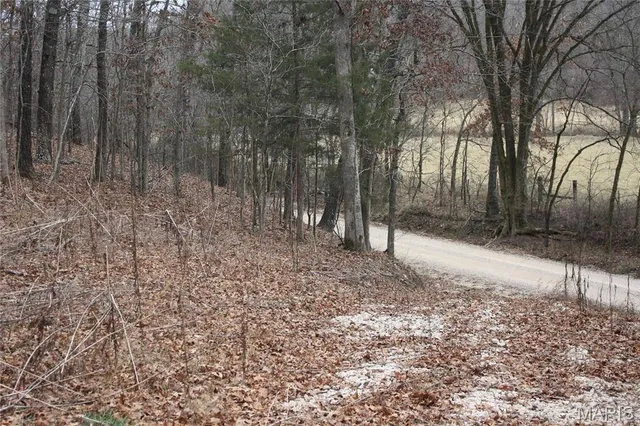 $44,000 | 0 Carter 154, Fremont, MO 63941