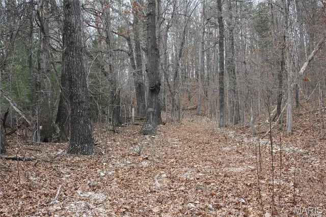 $44,000 | 0 Carter 154, Fremont, MO 63941