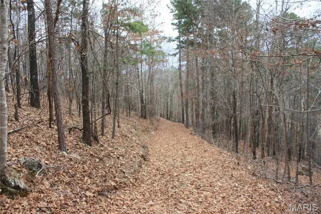 $44,000 | 0 Carter 154, Fremont, MO 63941