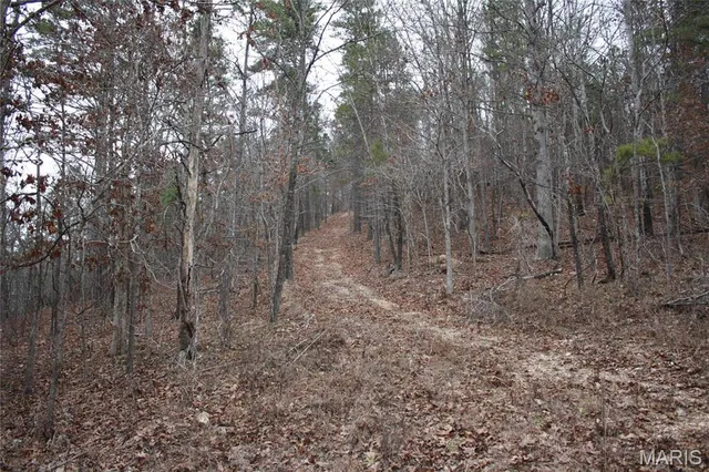 $44,000 | 0 Carter 154, Fremont, MO 63941