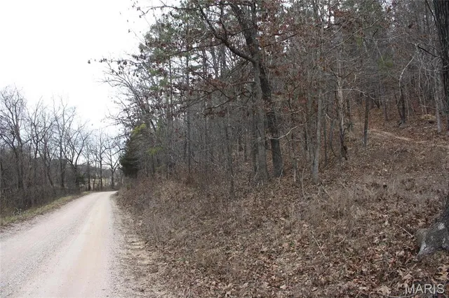 $44,000 | 0 Carter 154, Fremont, MO 63941