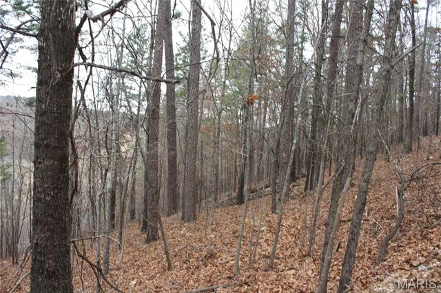 $44,000 | 0 Carter 154, Fremont, MO 63941