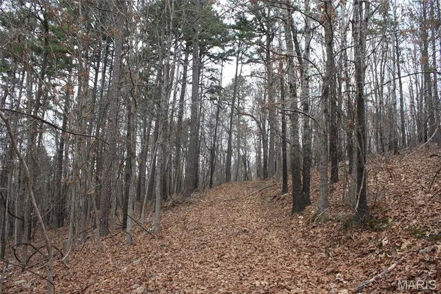 $44,000 | 0 Carter 154, Fremont, MO 63941