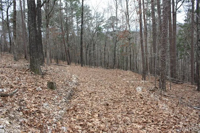 $44,000 | 0 Carter 154, Fremont, MO 63941